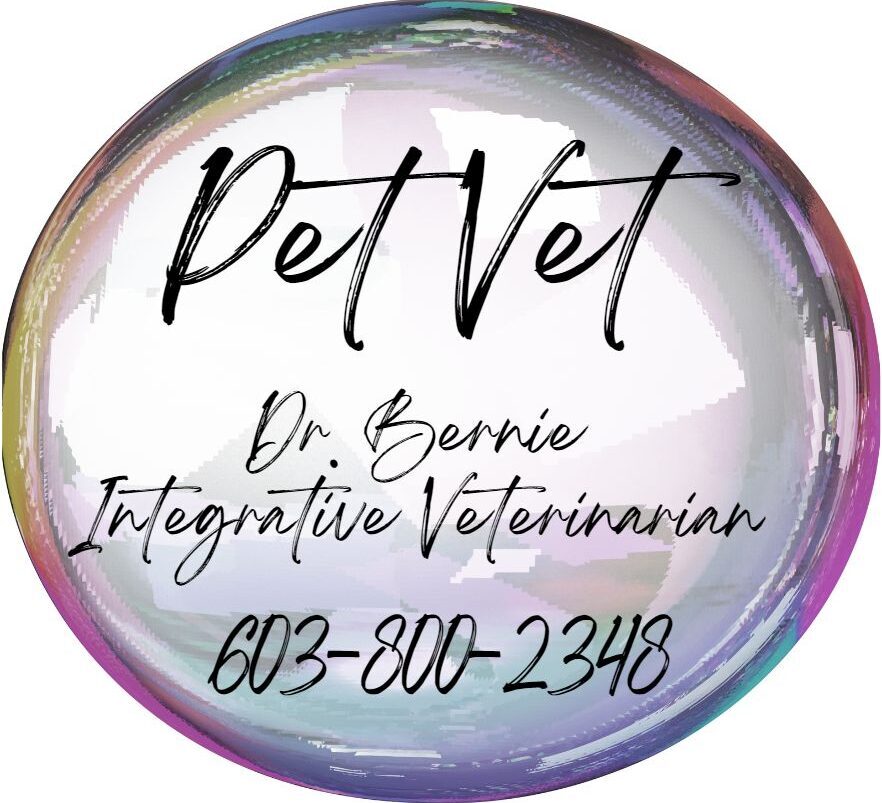 PetVet Dr. Bernie